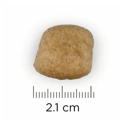 Hill's Prescription Diet T/D Mini Dental Care Zak - Hondenvoer - Kip 3 Kg -Dierbenodigdheden-Honden 8695 10022376 8