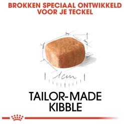 Royal Canin Dachshund - Puppy-Hondenvoer - 1.5 Kg 10 Royal Canin Dachshund - Puppy-Hondenvoer - 1.5 Kg -Dierbenodigdheden-Honden 8795 030613 3