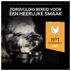 Pro Plan Dog Adult Light Kip - Hondenvoer -Dierbenodigdheden-Honden 8834 M 335047 8
