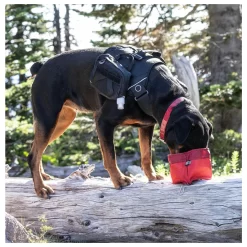 Kurgo Zippy Bowl - Opvouwbare Reisvoerbak - Hondenvoerbak 9 Kurgo Zippy Bowl - Opvouwbare Reisvoerbak - Hondenvoerbak -Dierbenodigdheden-Honden 8836 M 30021319 4