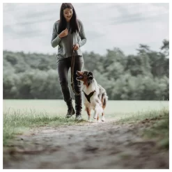 Hunter Verstelbare Looplijn Leder Donkerbruin - Hondenriem -Dierbenodigdheden-Honden 8858 M 30013609 4