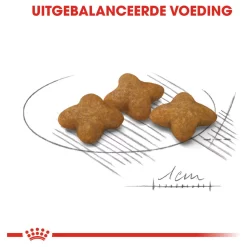 Royal Canin Sterilised X-Small - Hondenvoer - 1.5 Kg -Dierbenodigdheden-Honden 8877 10048260 3