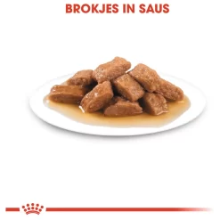 Royal Canin Medium Ageing 10+ Natvoer - Hondenvoer - 10x140 G 9 Royal Canin Medium Ageing 10+ Natvoer - Hondenvoer - 10x140 G -Dierbenodigdheden-Honden 8890 10024481 3