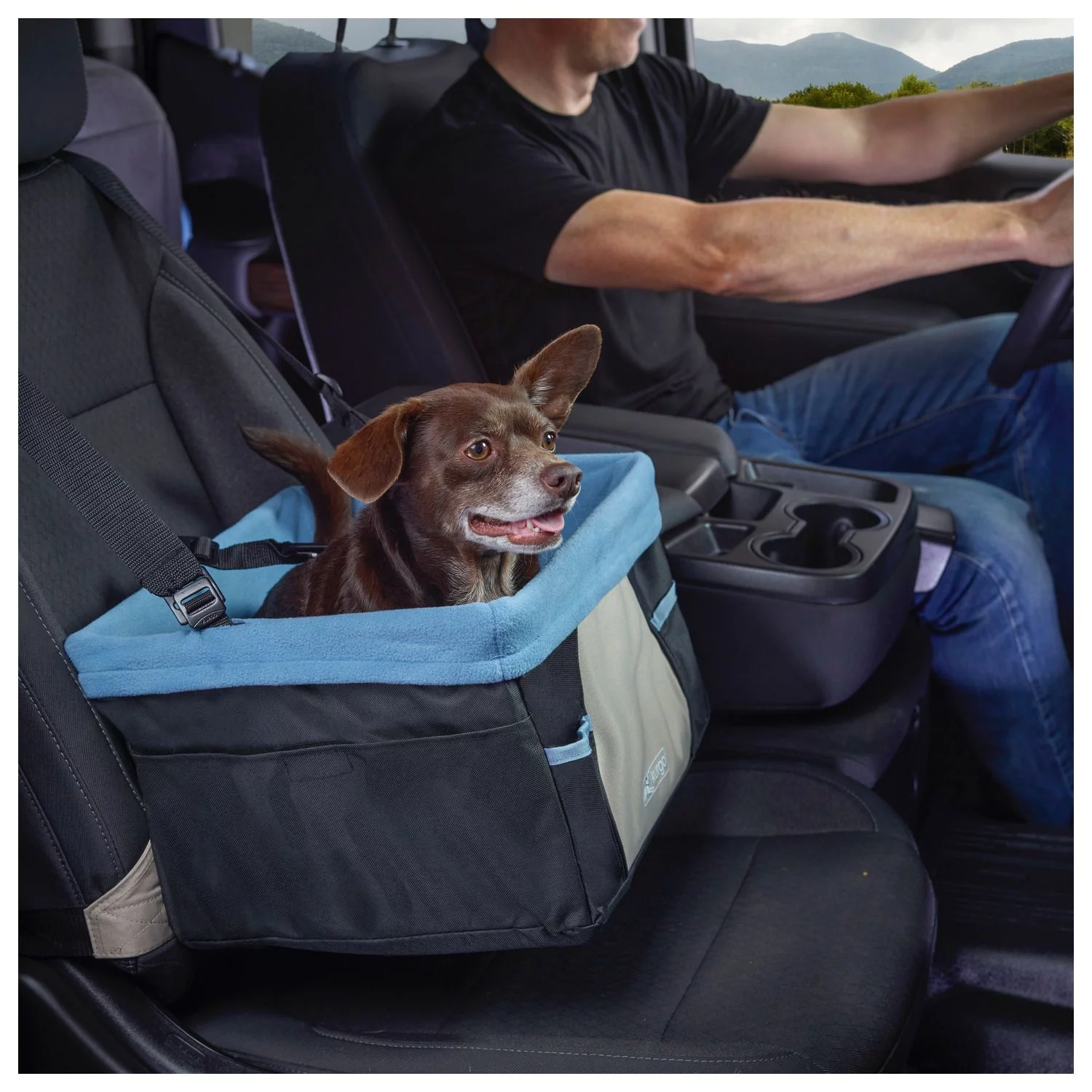 Kurgo Rover Booster Seat - Hondenautoaccessoire - Zwart Beige Tot 13.6 Kg 5 Kurgo Rover Booster Seat - Hondenautoaccessoire - Zwart Beige Tot 13.6 Kg - Afbeelding 5