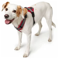 Hunter Harnas Maldon Rood&Grijs - Hondentuig -Dierbenodigdheden-Honden 9045 M 30013784 4