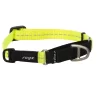 Rogz Utility Control Halsband Geel - Hondenhalsband