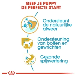 Royal Canin Dachshund - Puppy-Hondenvoer - 1.5 Kg 11 Royal Canin Dachshund - Puppy-Hondenvoer - 1.5 Kg -Dierbenodigdheden-Honden 9079 030613 4