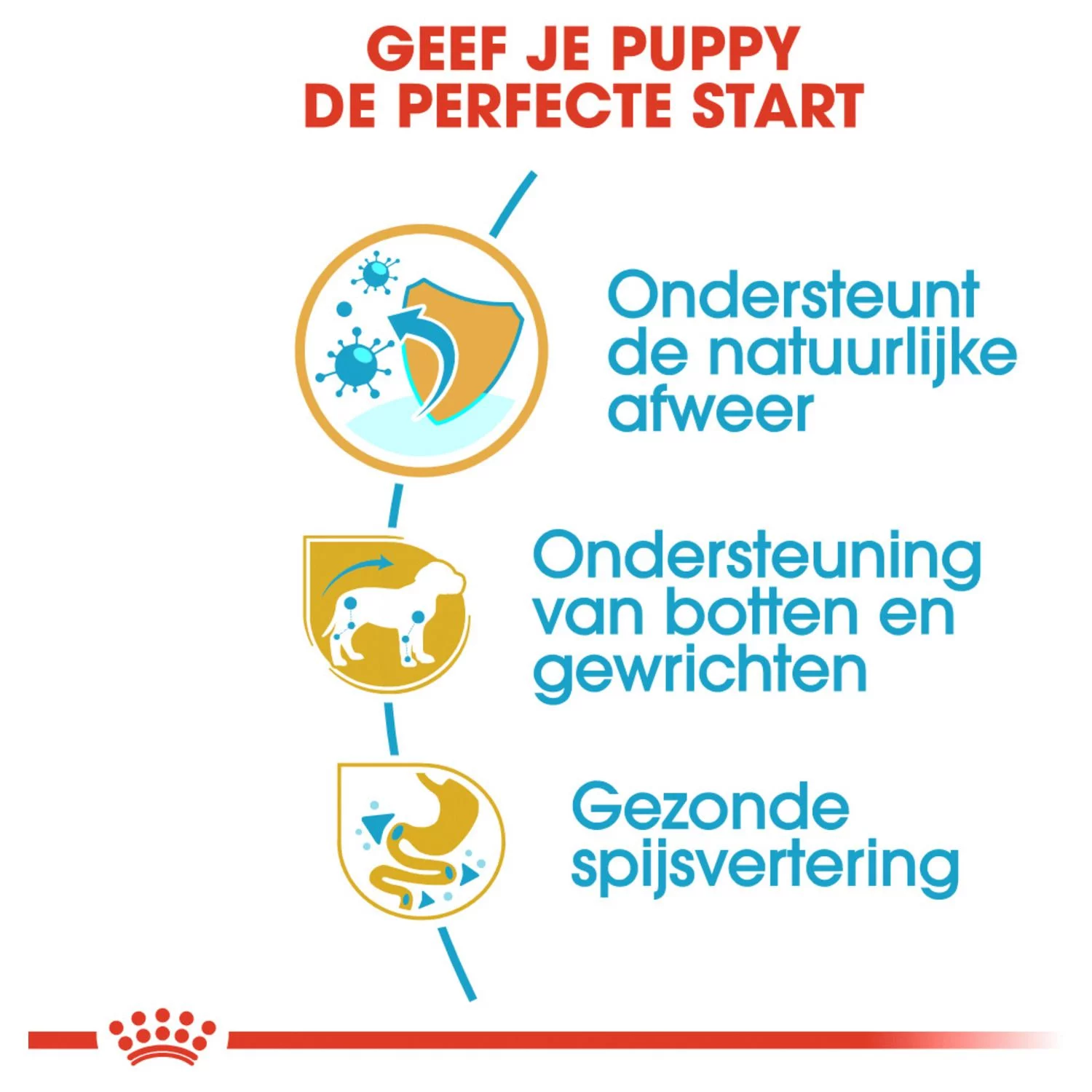 Royal Canin Dachshund - Puppy-Hondenvoer - 1.5 Kg 4 Royal Canin Dachshund - Puppy-Hondenvoer - 1.5 Kg - Afbeelding 4