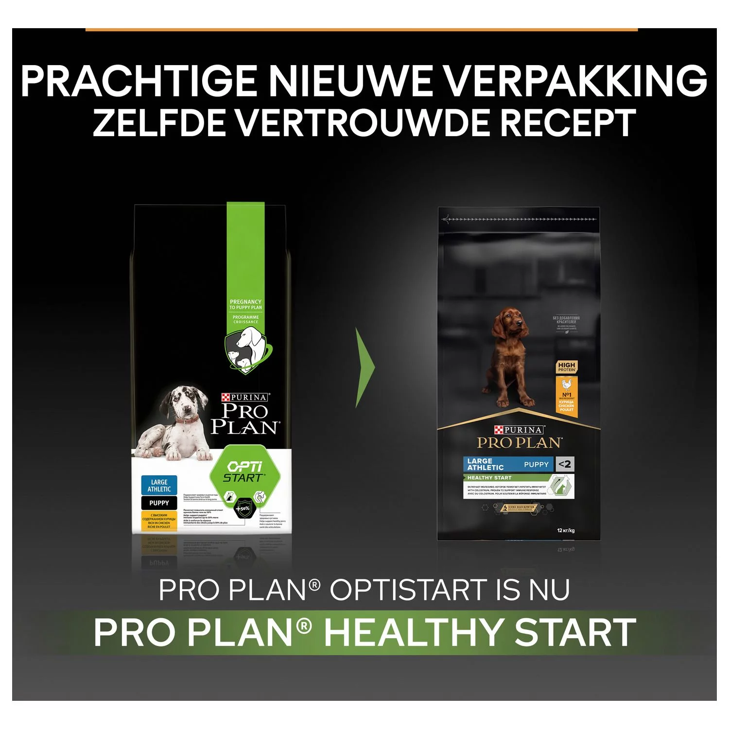 Pro Plan Dog Puppy Large Breed Athletic Kip - Hondenvoer 2 Pro Plan Dog Puppy Large Breed Athletic Kip - Hondenvoer - Afbeelding 2