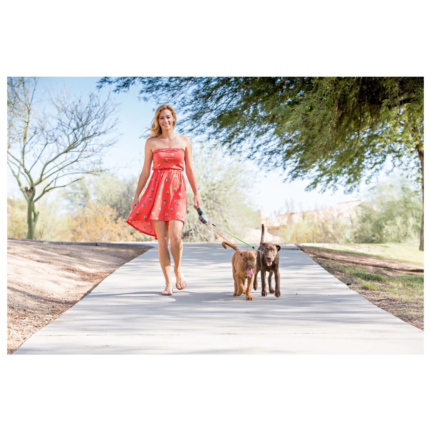 Wigzi Duo Rollijn - Hondenriem - 3 M Grijs Tot 22 Kg Per Hond 4 Wigzi Duo Rollijn - Hondenriem - 3 M Grijs Tot 22 Kg Per Hond - Afbeelding 4