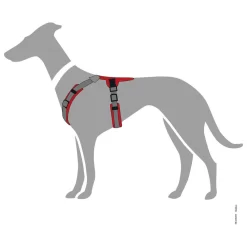 Hunter Harnas Maldon Rood&Grijs - Hondentuig -Dierbenodigdheden-Honden 9158 M 30013784 5