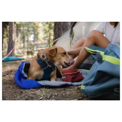 Ruffwear Front Range Collar Blue Moon Blauw - Hondenhalsband -Dierbenodigdheden-Honden 9164 M 30018994 6