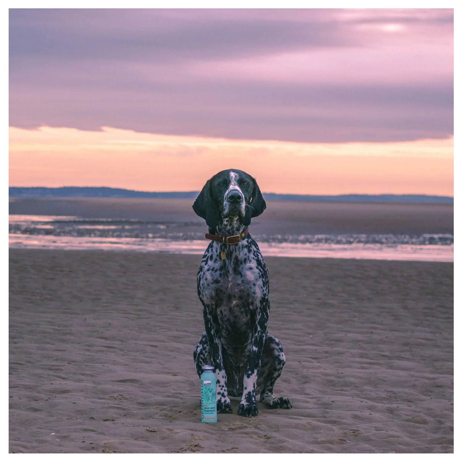 Greenfields Sensitive Care Set - Hondenvachtverzorging - 2x250 Ml 4 Greenfields Sensitive Care Set - Hondenvachtverzorging - 2x250 Ml - Afbeelding 4