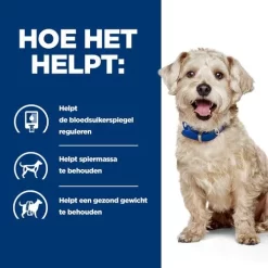 Hill's Prescription Diet W/D Digestive/Weight/Diabetes Management Zak - Hondenvoer - Kip 10 Kg 10 Hill's Prescription Diet W/D Digestive/Weight/Diabetes Management Zak - Hondenvoer - Kip 10 Kg -Dierbenodigdheden-Honden 9281 30019246 4