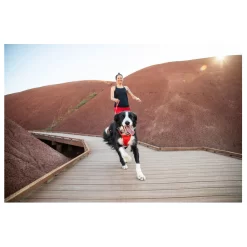 Ruffwear Front Range Harness Rood - Hondenharnas -Dierbenodigdheden-Honden 9389 M 10053696 7