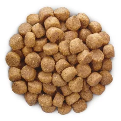 Hill's Prescription Diet B/D Ageing And Alertness Care Zak - Hondenvoer - Kip 12 Kg 16 Hill's Prescription Diet B/D Ageing And Alertness Care Zak - Hondenvoer - Kip 12 Kg -Dierbenodigdheden-Honden 9501 10022292 8