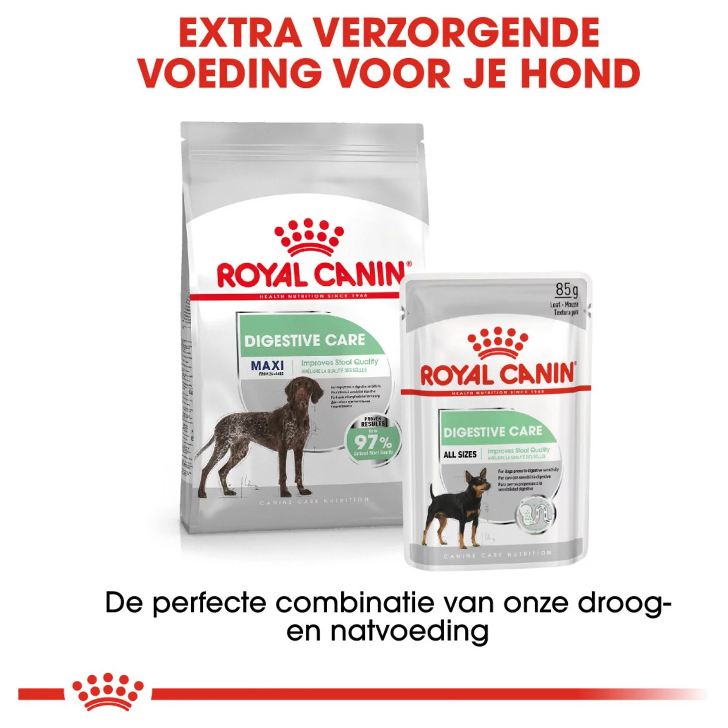 Royal Canin Digestive Care Maxi - Hondenvoer 8 Royal Canin Digestive Care Maxi - Hondenvoer - Afbeelding 8