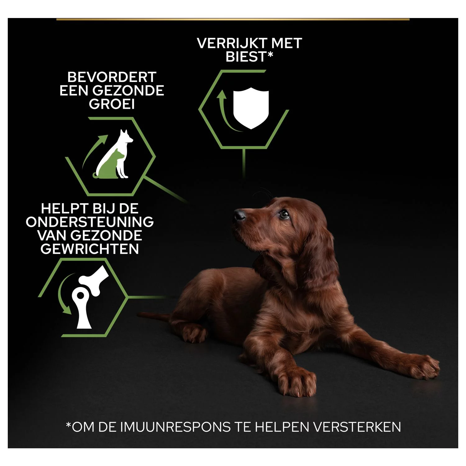 Pro Plan Dog Puppy Large Breed Athletic Kip - Hondenvoer 10 Pro Plan Dog Puppy Large Breed Athletic Kip - Hondenvoer - Afbeelding 10