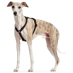 Hunter Veiligheidstuig Vario Rapid Zwart - Hondenharnas 11 Hunter Veiligheidstuig Vario Rapid Zwart - Hondenharnas -Dierbenodigdheden-Honden 9582 M 30013770 4