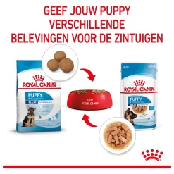 Royal Canin Maxi Natvoer - Puppy-Hondenvoer - 10x140 G 14 Royal Canin Maxi Natvoer - Puppy-Hondenvoer - 10x140 G -Dierbenodigdheden-Honden 9684 10024482 5