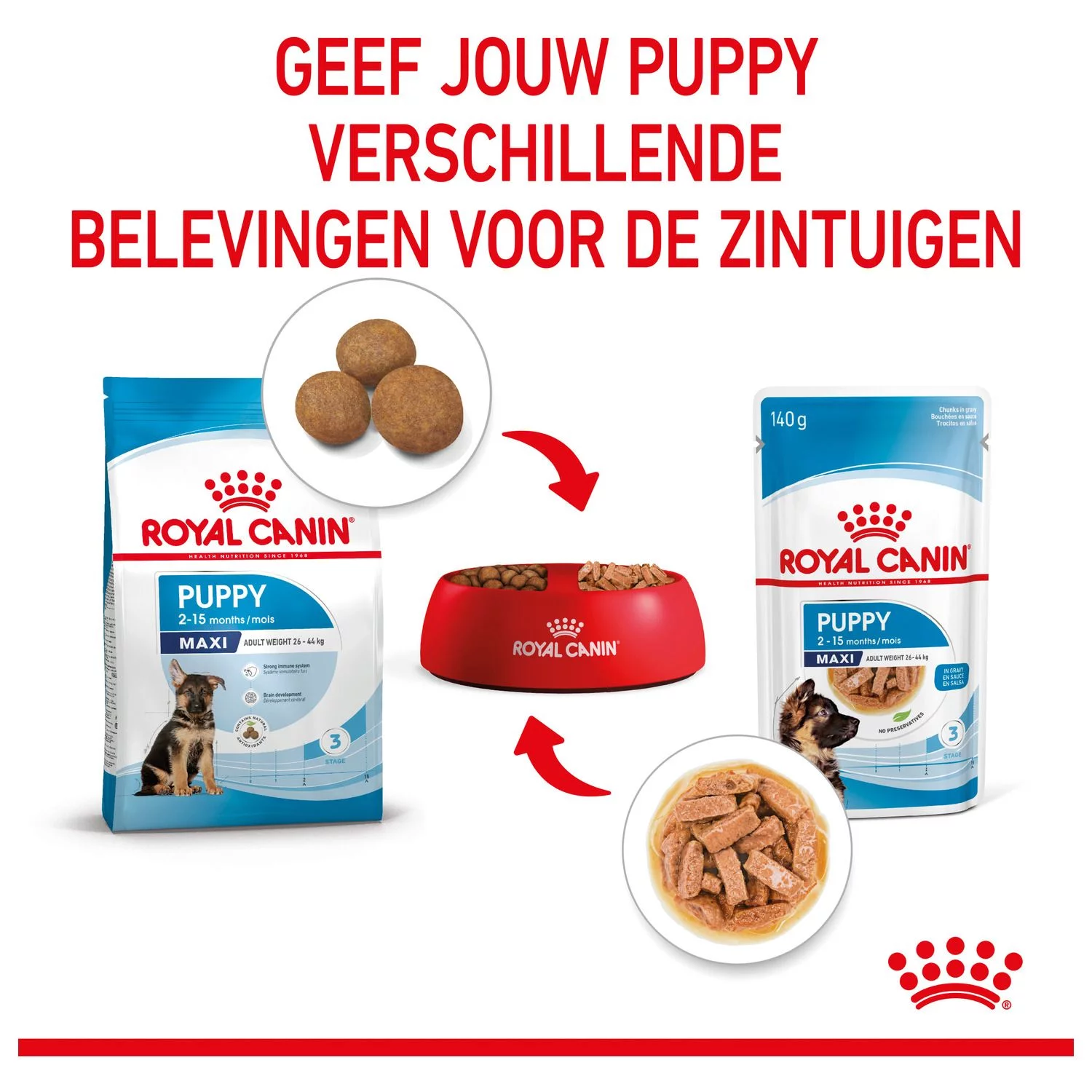 Royal Canin Maxi Natvoer - Puppy-Hondenvoer - 10x140 G 5 Royal Canin Maxi Natvoer - Puppy-Hondenvoer - 10x140 G - Afbeelding 5