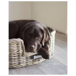 Happy-House Mand Riet Rond - Hondenmand - 95x82x25 Cm 3900 G Naturel Xxlarge 8 Happy-House Mand Riet Rond - Hondenmand - 95x82x25 Cm 3900 G Naturel Xxlarge -Dierbenodigdheden-Honden 9750 941147 4