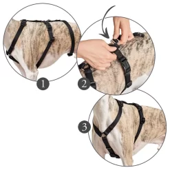 Hunter Veiligheidstuig Vario Rapid Zwart - Hondenharnas 12 Hunter Veiligheidstuig Vario Rapid Zwart - Hondenharnas -Dierbenodigdheden-Honden 9833 M 30013770 5