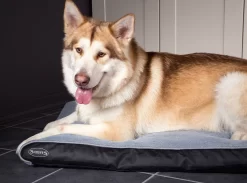 Scruffs Kussen Dove Grijs - Hondenkussen 11 Scruffs Kussen Dove Grijs - Hondenkussen -Dierbenodigdheden-Honden 9835 M 339229 6