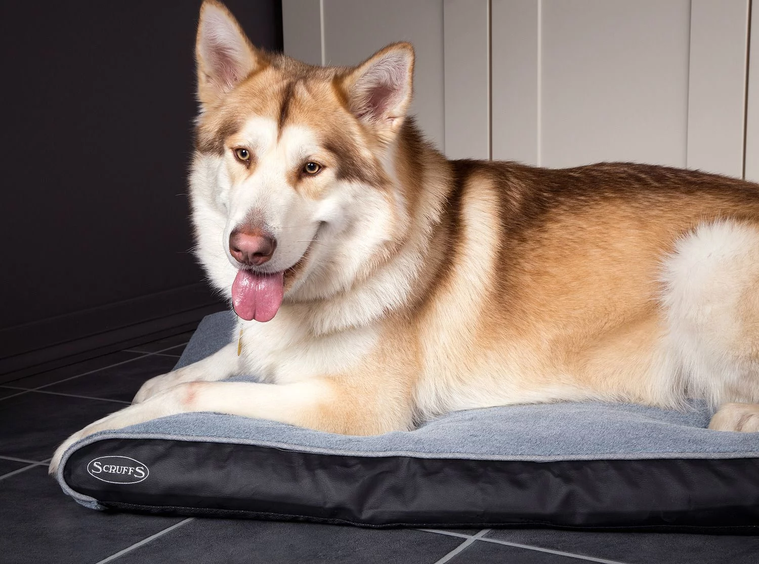 Scruffs Kussen Dove Grijs - Hondenkussen 6 Scruffs Kussen Dove Grijs - Hondenkussen - Afbeelding 6