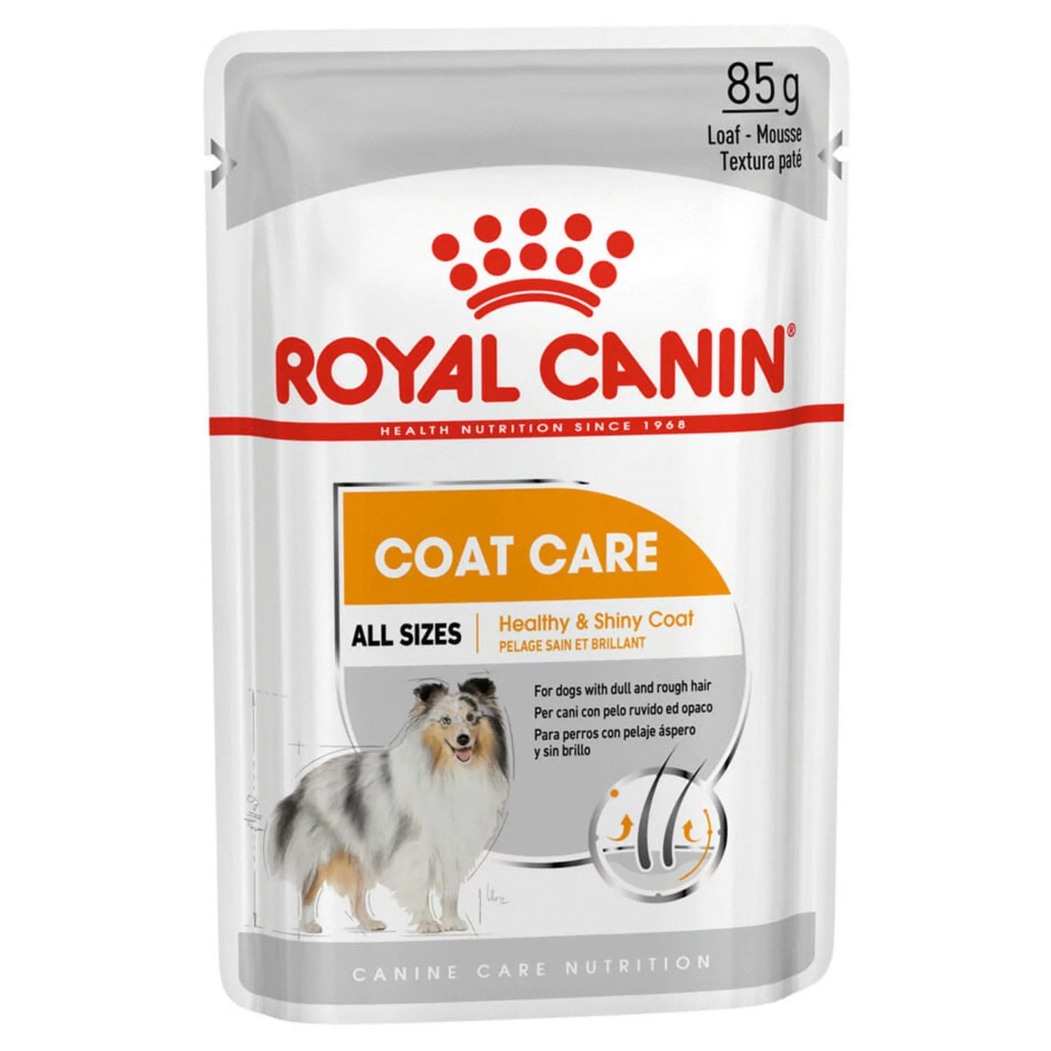 Royal Canin Coat Care Natvoer - Hondenvoer - 12x85 G 1 Royal Canin Coat Care Natvoer - Hondenvoer - 12x85 G