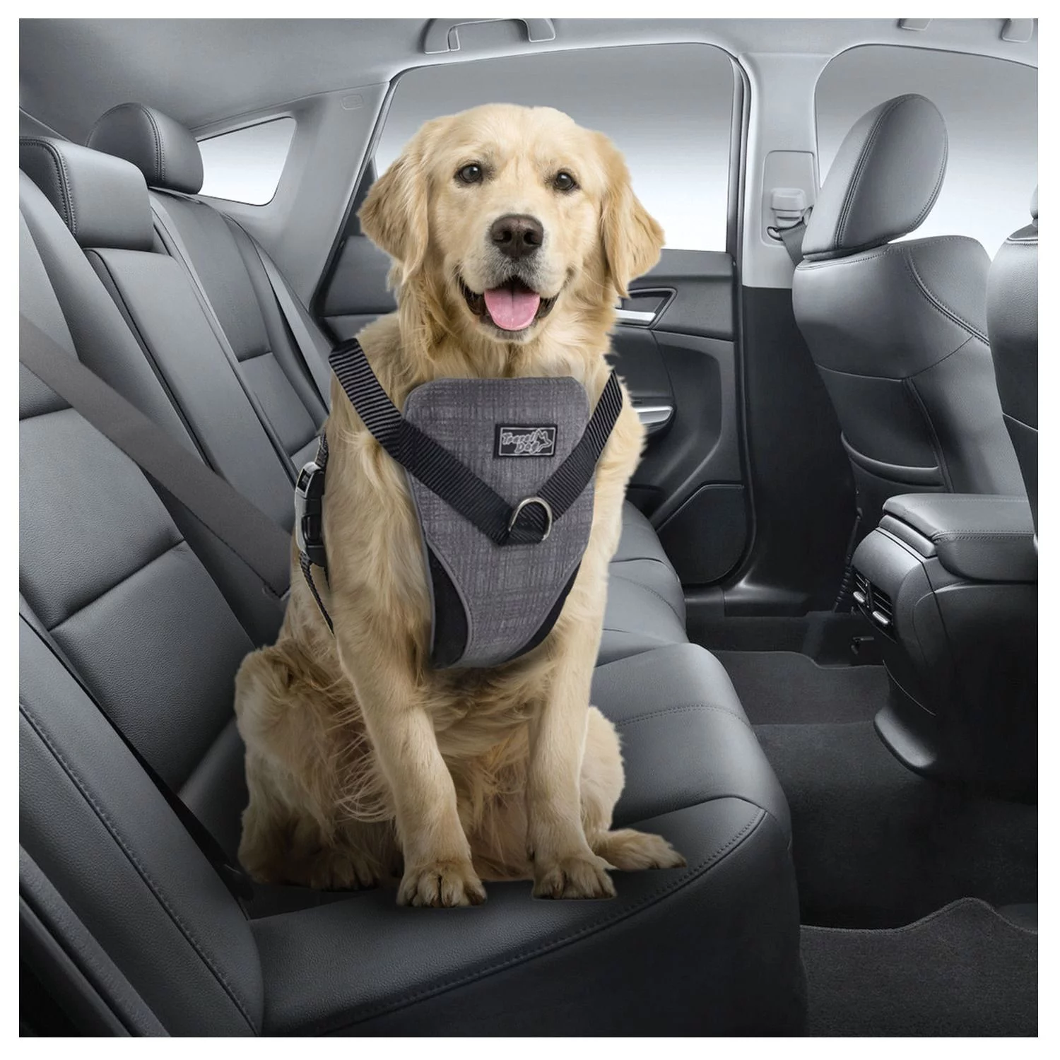 All For Paws Honden Autogordel - Hondenautoaccessoire - Nek30-50/Borst 41-56 Cm Grijs 3 All For Paws Honden Autogordel - Hondenautoaccessoire - Nek30-50/Borst 41-56 Cm Grijs - Afbeelding 3