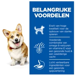 Hill's Canine Adult Small & Mini Kip - Hondenvoer 9 Hill's Canine Adult Small & Mini Kip - Hondenvoer -Dierbenodigdheden-Honden 9933 M 115129 3