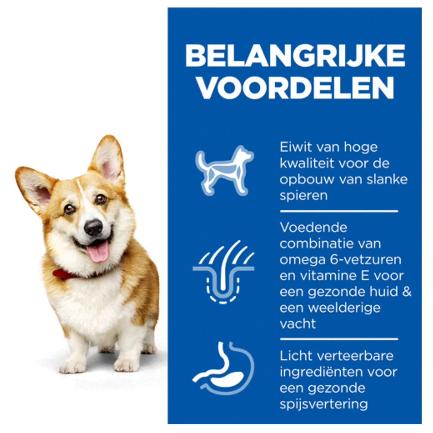 Hill's Canine Adult Small & Mini Kip - Hondenvoer 3 Hill's Canine Adult Small & Mini Kip - Hondenvoer - Afbeelding 3