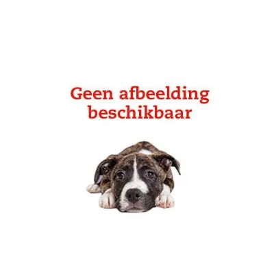 Royal Canin Cocker Adult - Hondenvoer 1 Royal Canin Cocker Adult - Hondenvoer